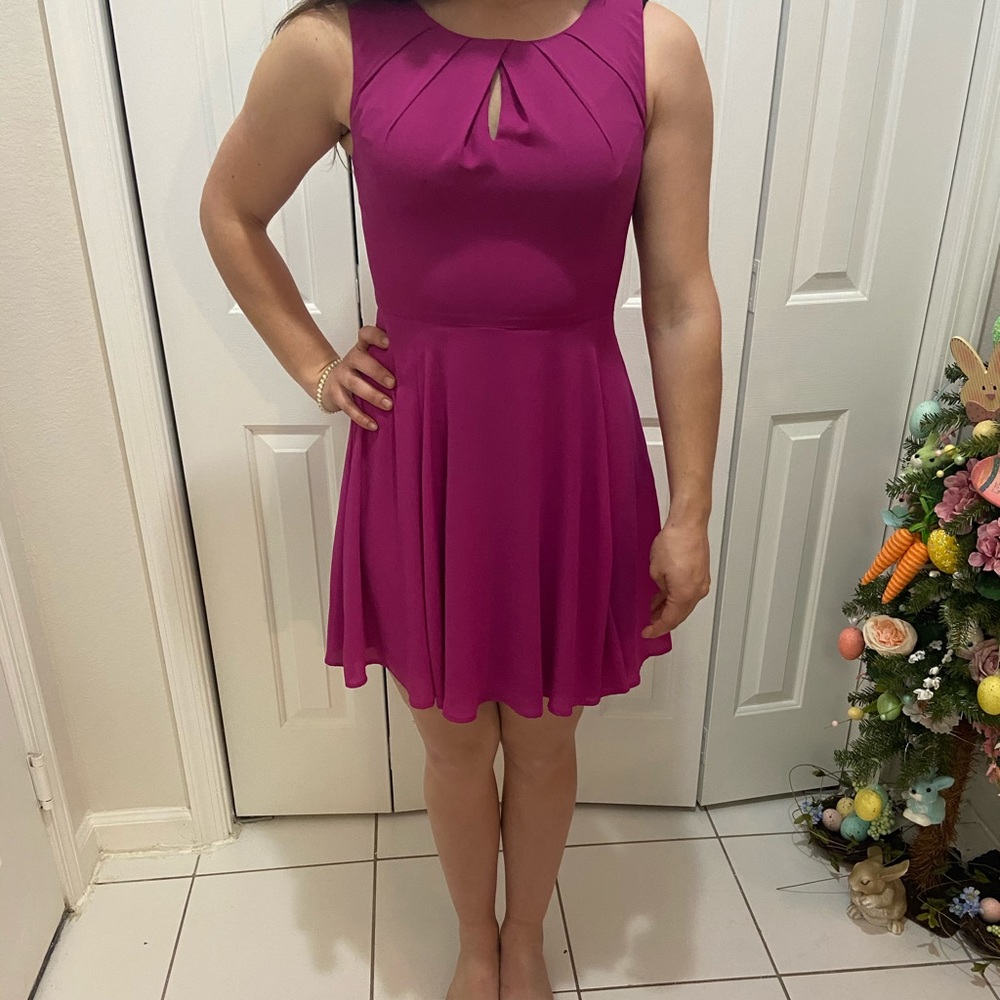 Express fit and flare dress